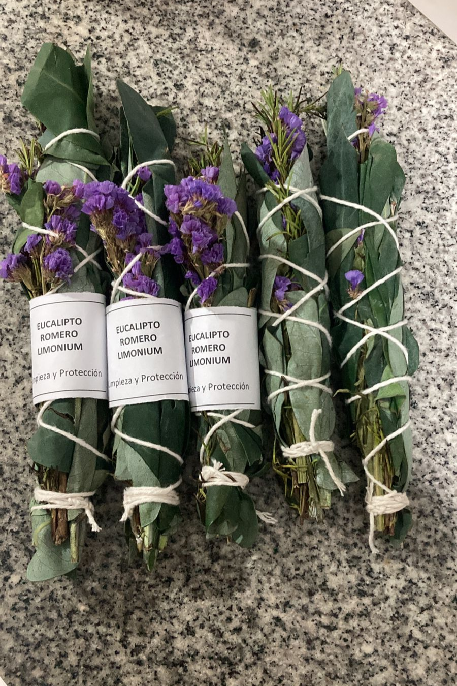 Sahumerio Limpieza y Protección