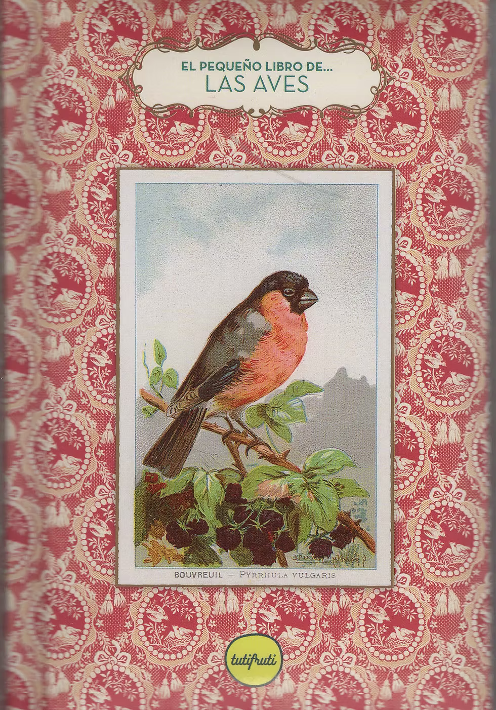 El pequeño libro de...las aves